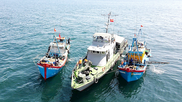 Vietnam premier urges efforts to lift EC’s IUU fishing ‘yellow card’ warning