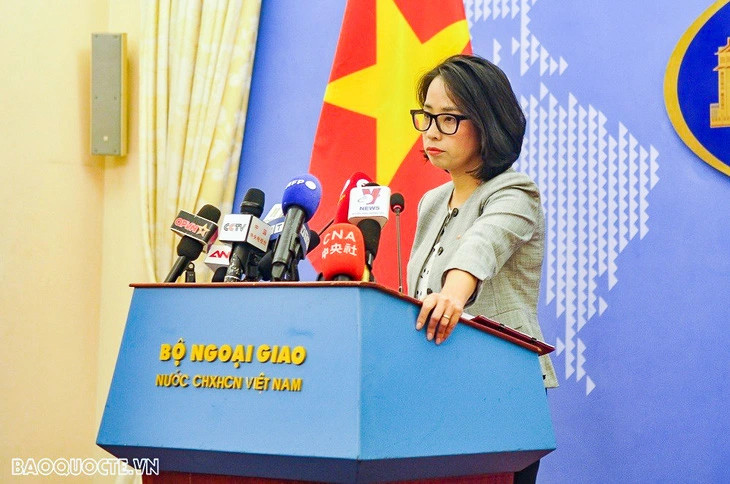 Arrest of energy director Ngo Thi To Nhien legal: Vietnam’s foreign ministry