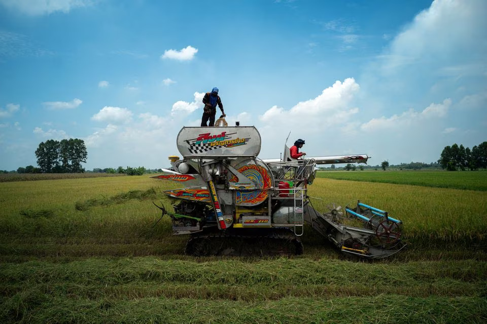 ASEAN nations to prioritize members' rice needs - Malaysia state media