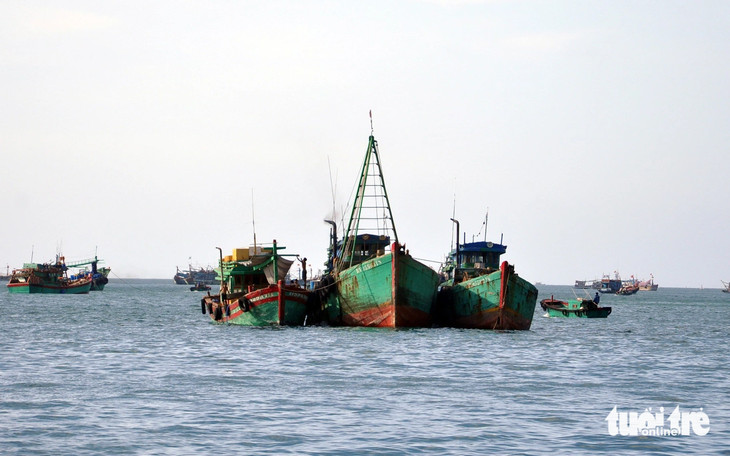 Vietnam’s Ba Ria - Vung Tau Province seeks EC help to combat IUU fishing