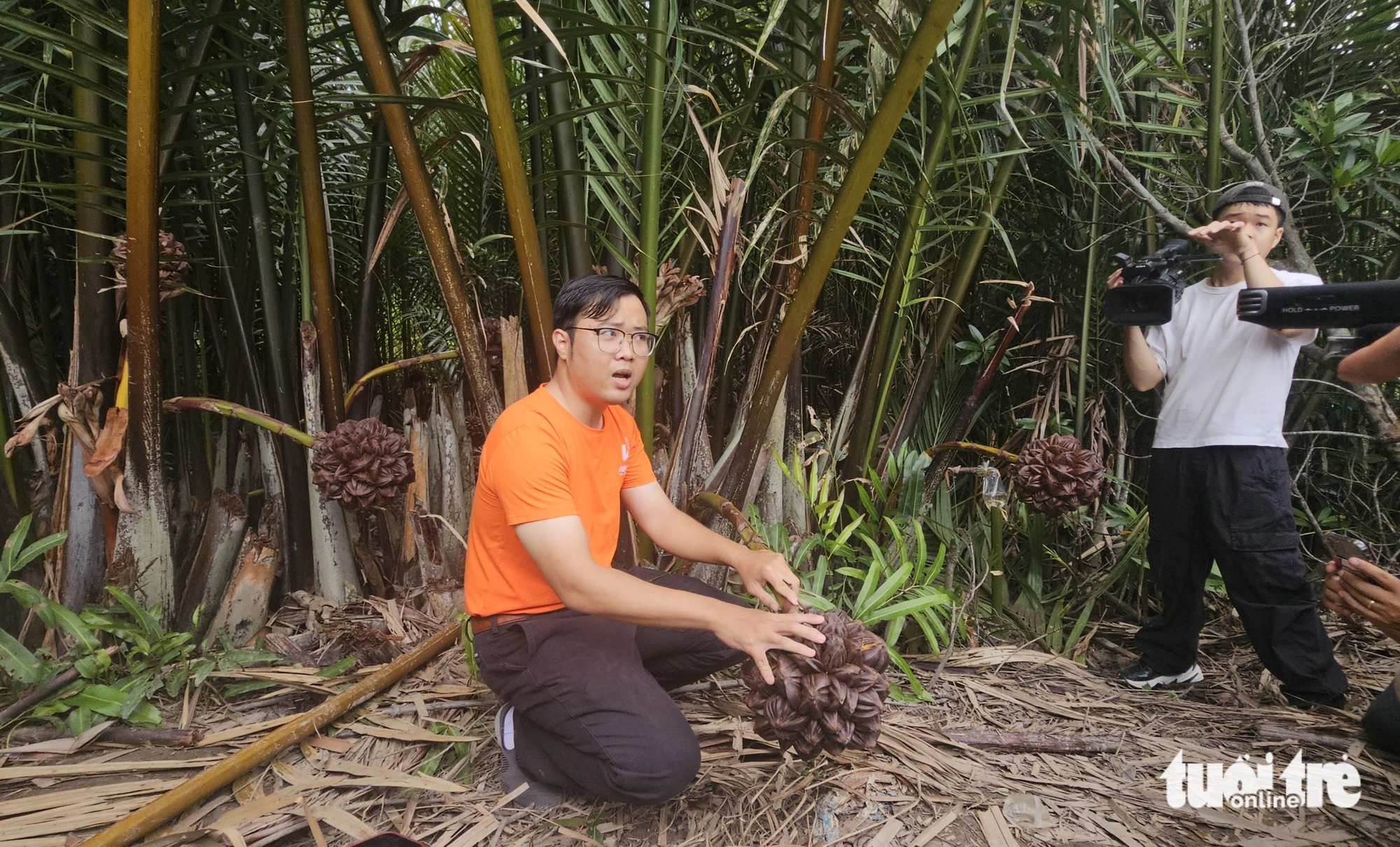 Ho Chi Minh City man unlocks local nipa palm potential