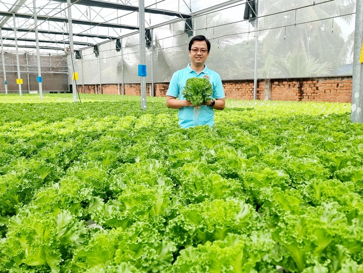 Bank employee develops Ho Chi Minh City’s largest hydroponic farm