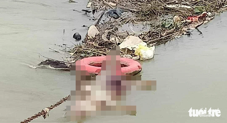 Pig carcasses dumped into canal in north-central Vietnam