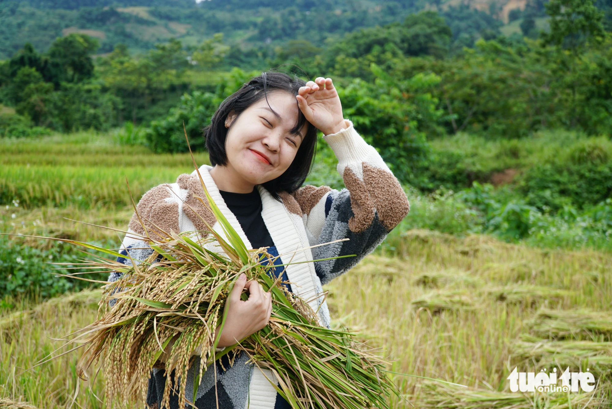 Thu Ha, a tourist from Tay Ho, takes a photo with a sheaf of rice she harvested. Photo: Nguyen Hien / Tuoi Tre