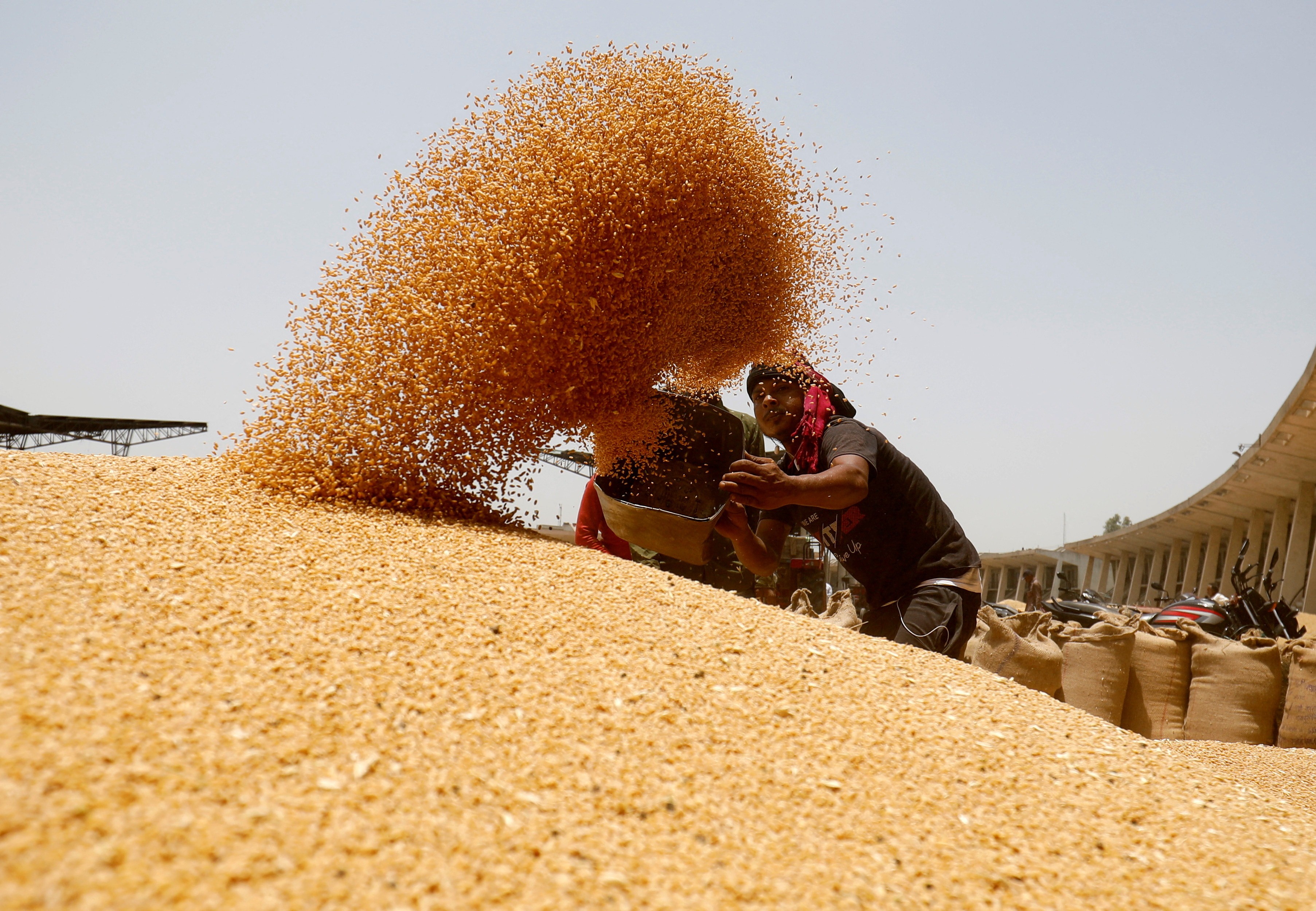 India to extend free food grains programme by five years, says Modi