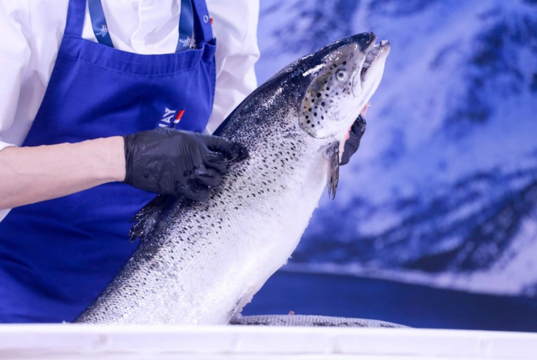 Vietnam spends $142mn on Norwegian seafood in January-September