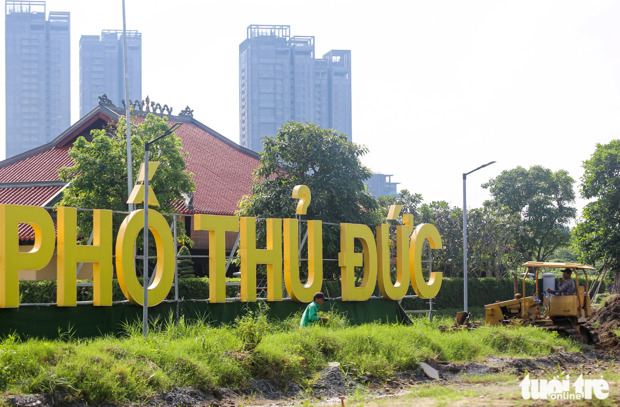 Workers are pictured removing weeds near the Saigon River bank in Thu Duc City to make room for sunflowers. Photo: Tuoi Tre