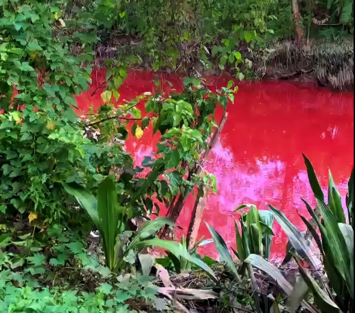 Canal water turns red in southern Vietnam