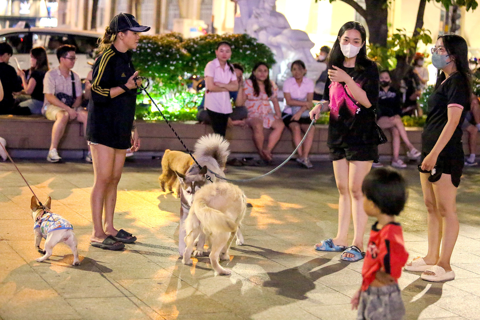 People walk their dogs on Nguyen Hue Walking Street in District 1, Ho Chi Minh City. Photo: Phuong Quyen / Tuoi Tre