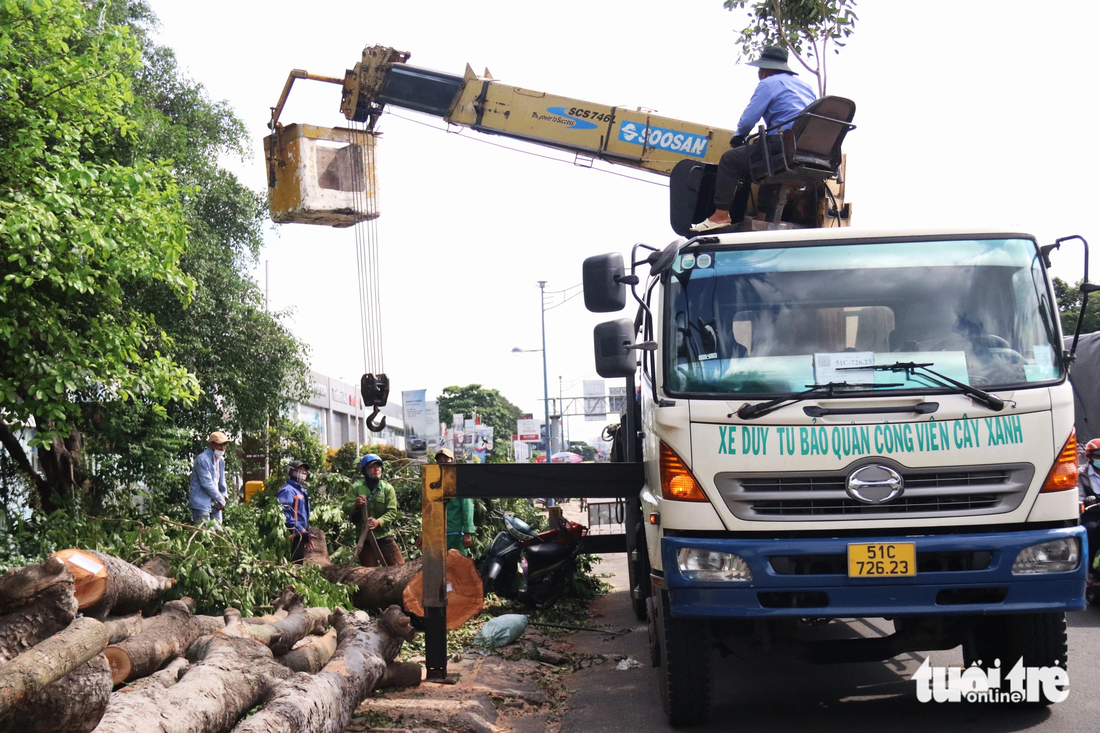 Ho Chi Minh City levels large trees to allow road near airport