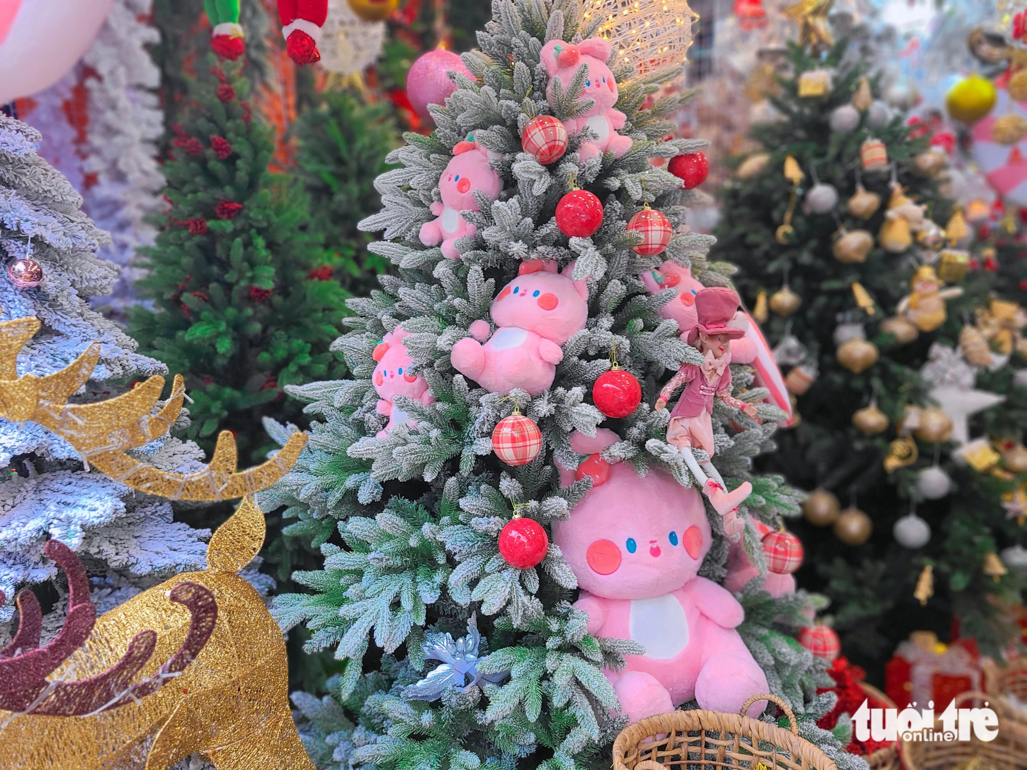 A decorative pine tree is displayed at a shop in Ho Chi Minh City. Photo: Nhat Xuan / Tuoi Tre