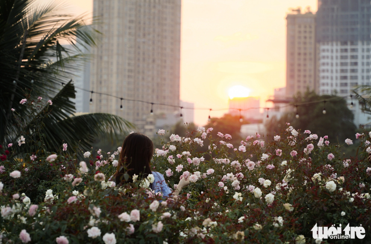 At the popular coffee shop near West Lake, clients can watch the sunset. Photo: Nguyen Hien / Tuoi Tre