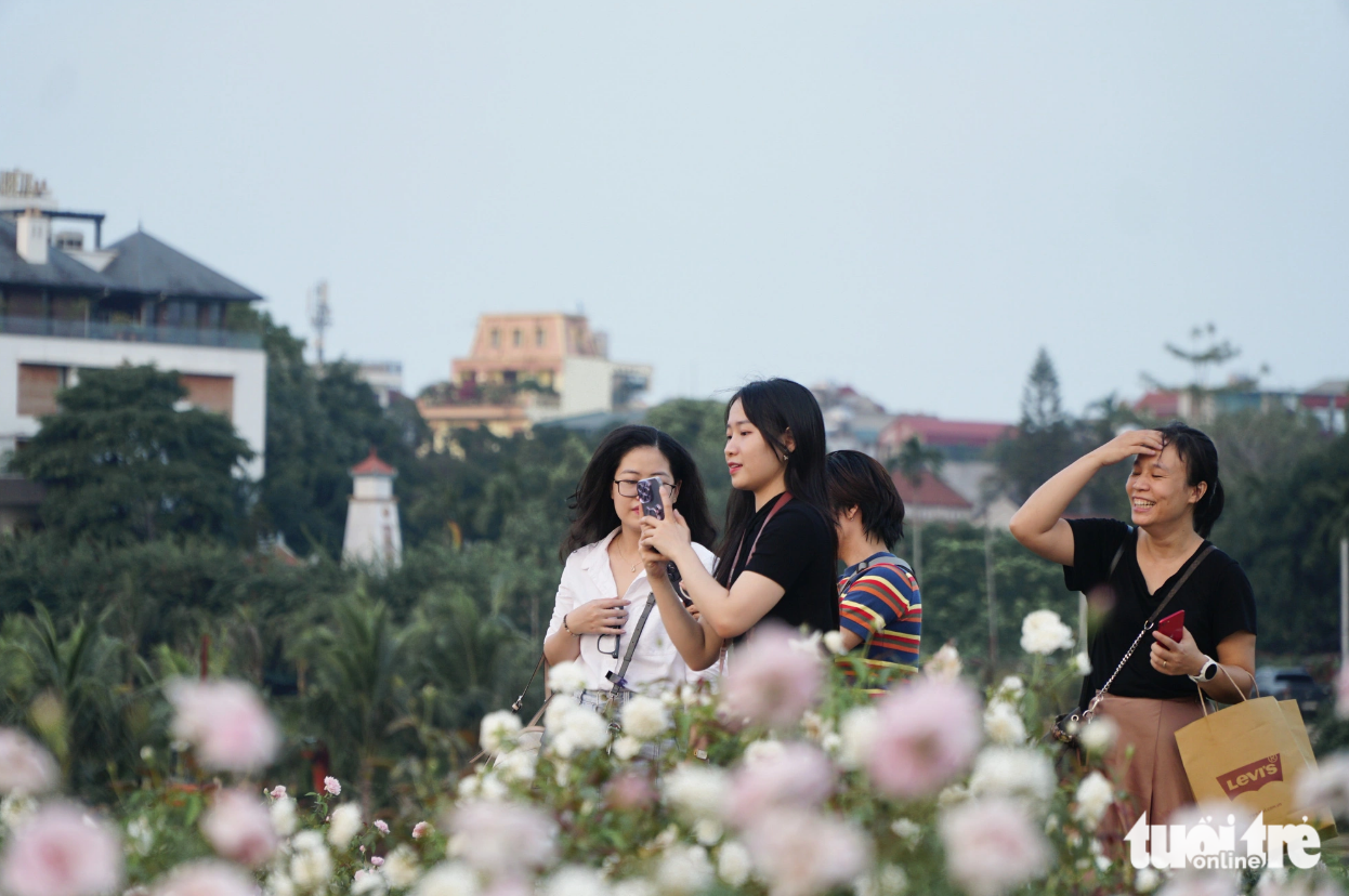 Visitors take photos at a flower garden. Photo: Nguyen Hien / Tuoi Tre