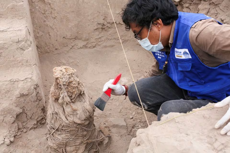 An archaeologist works on one of five mummies, that according to archaeologists belong to the pre-Inca Ychsma culture that inhabited the central coast of Peru from approximately 900 to 1450 AD., at the Huaca La Florida archaeological site, in Lima, Peru, November 21, 2023. Photo: Reuters