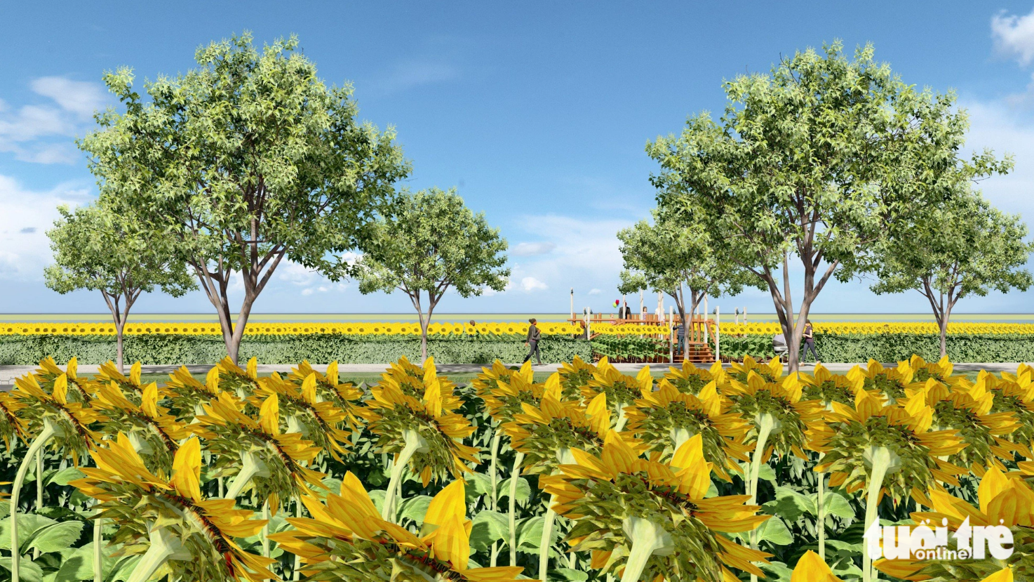 The sunflower field will overlook the banks of the Saigon River, Bach Dang Wharf Park and Ba Son Bridge. Photo: Thu Duc City People’s Committee