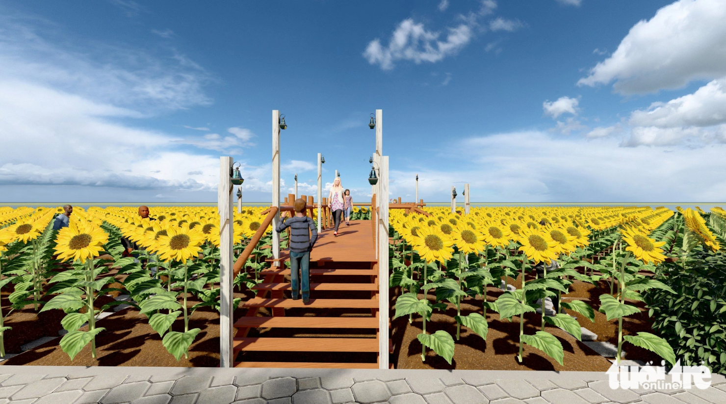 The sunflower field is aimed at delighting dwellers and visitors on the forthcoming 2024 New Year holiday. Photo: Thu Duc City People’s Committee