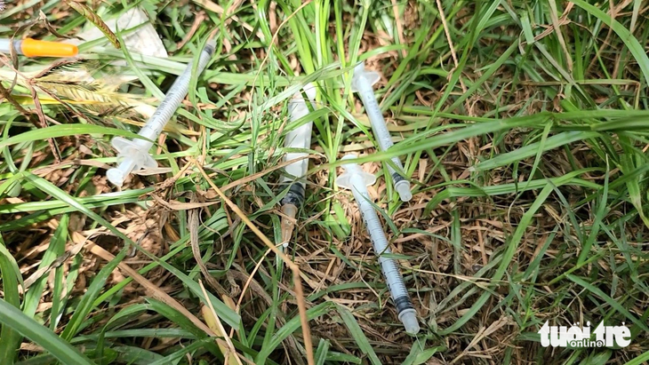 Many used syringes are thrown into bushes. Photo: Minh Hoa / Tuoi Tre