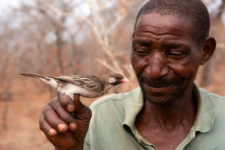 Wild birds analyze grunts, whistles made by human honey-hunters