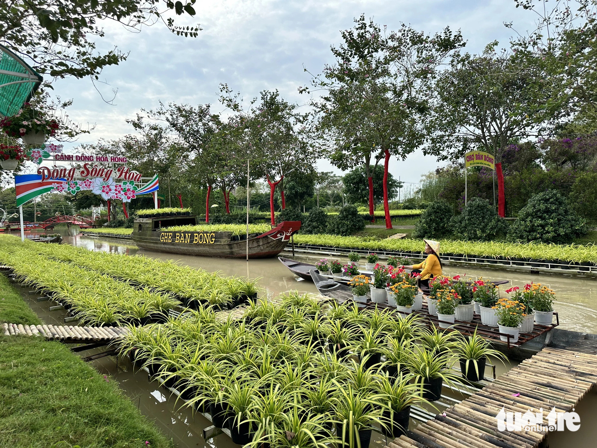Vietnam’s Dong Thap to host first-ever ornamental flower, plant festival