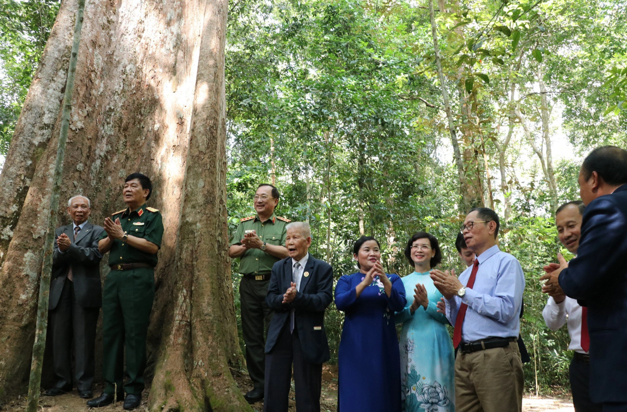 1,230-year-old tree recognized as national heritage tree in southern Vietnam