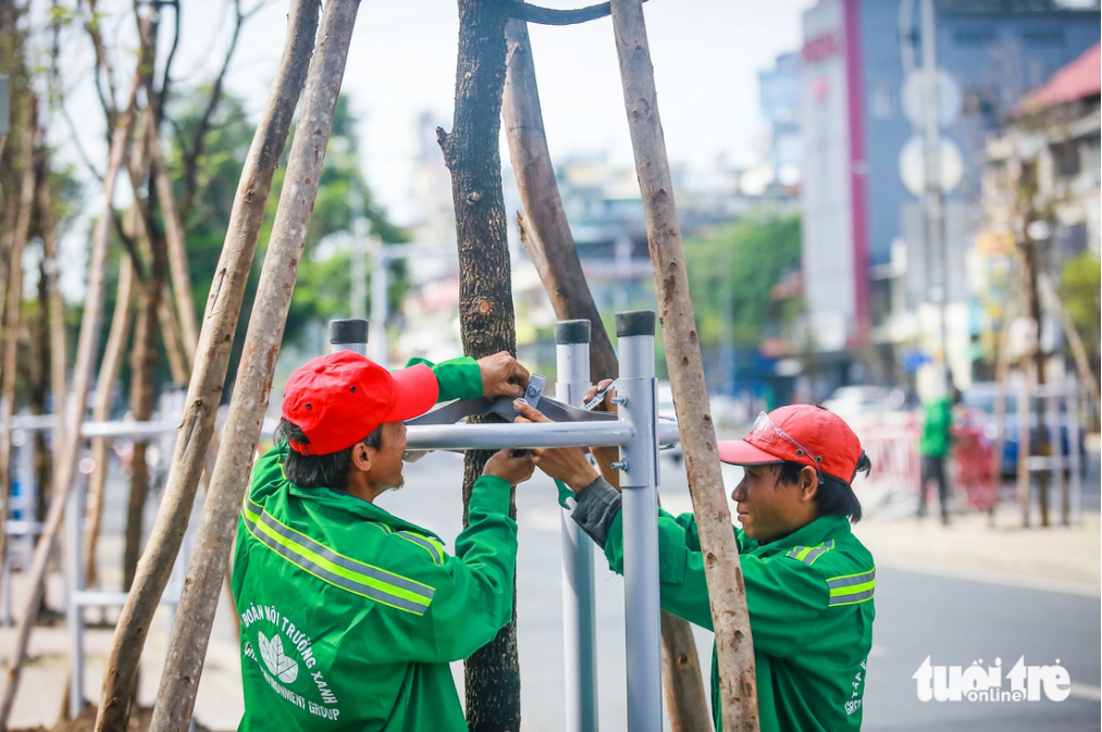 Workers fix a tamarind sapling. Photo: Chau Tuan / Tuoi Tre