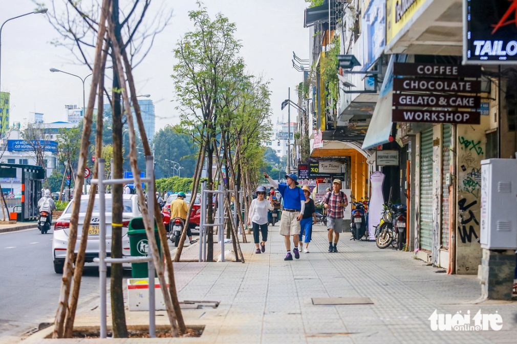 Local residents and tourists are excited to see the new trees. Photo: Chau Tuan / Tuoi Tre