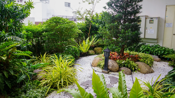 An agency in Ho Chi Minh City takes advantage of a small corner to create a green space. Photo: Phuong Quyen / Tuoi Tre