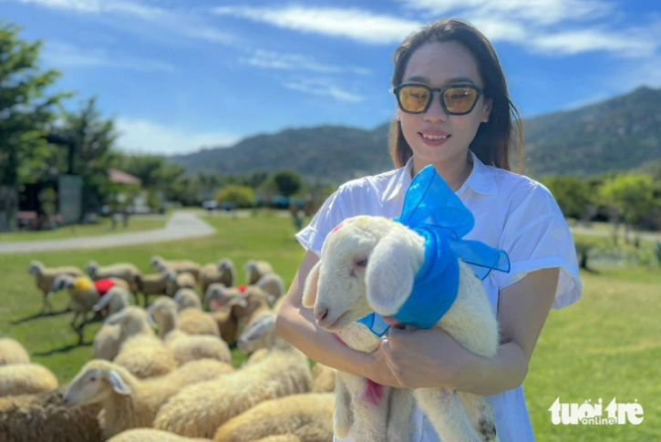 The sheep costumes will follow a Christmas and New Year theme. Photo: Duy Ngoc / Tuoi Tre