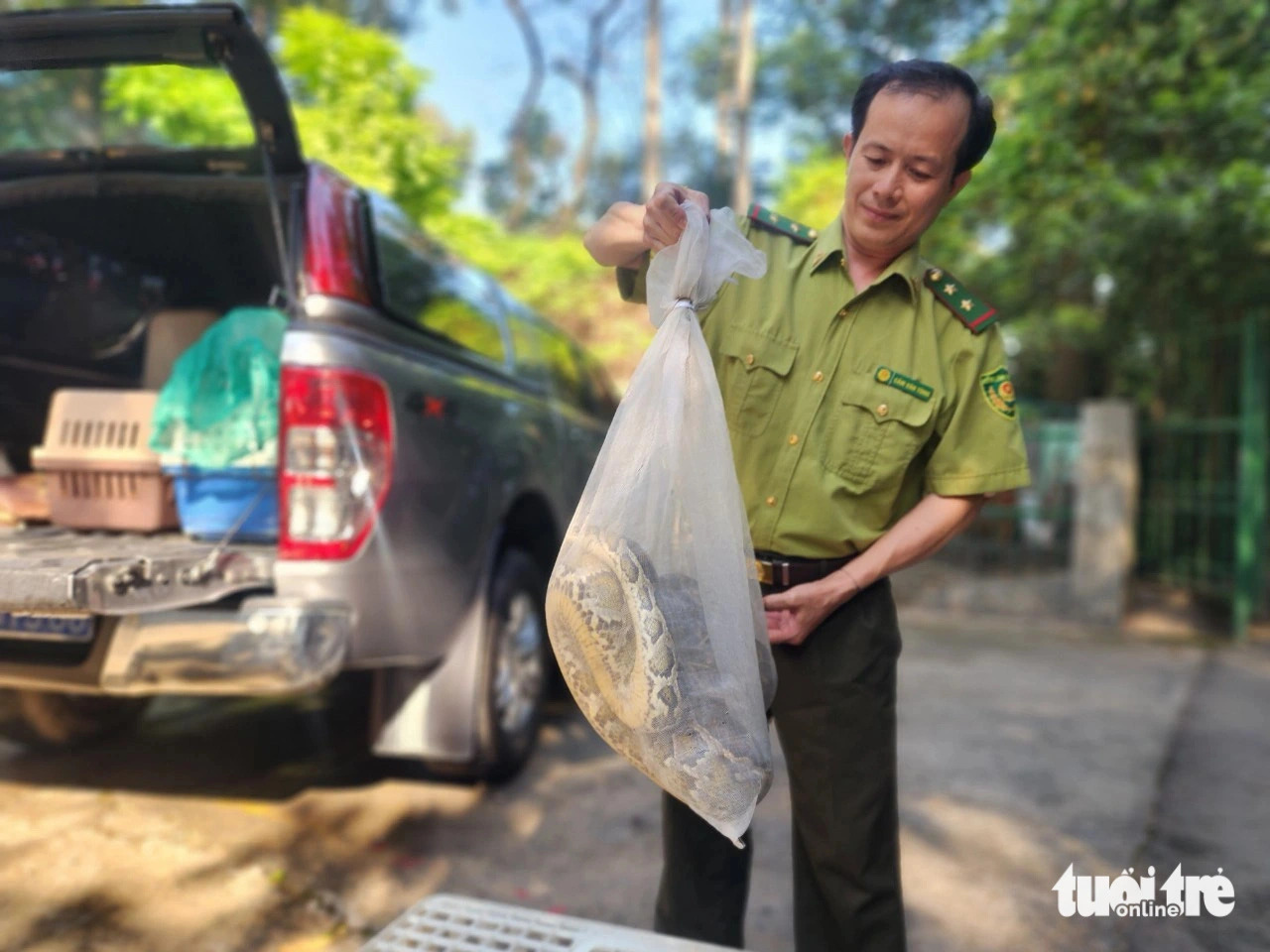 8kg Burmese python found at workshop in suburban Ho Chi Minh City