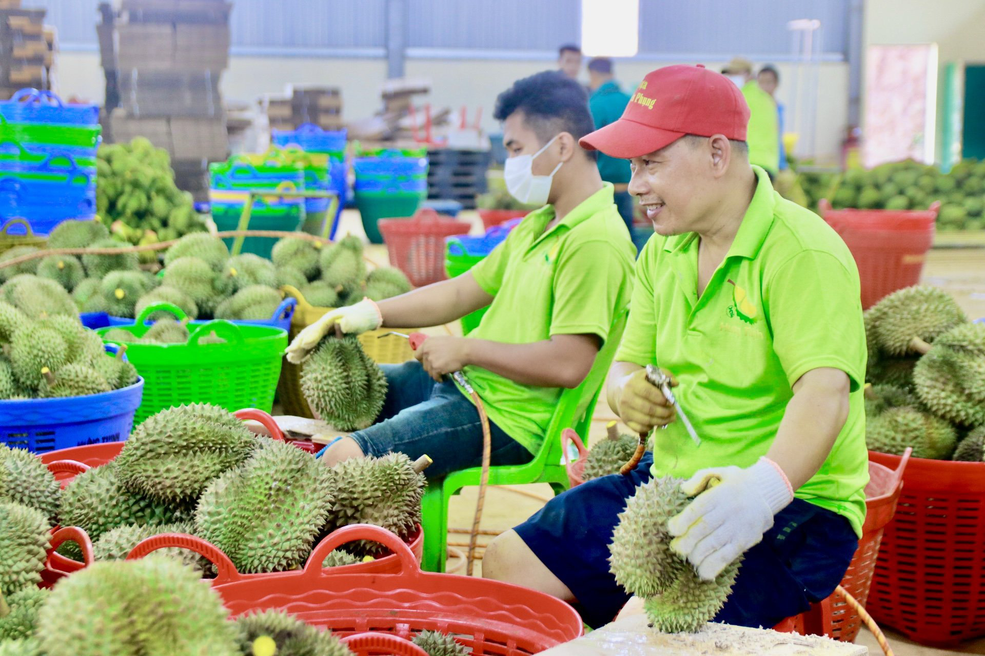 Vietnam’s agro-forestry-fishery exports see record trade surplus in 2023