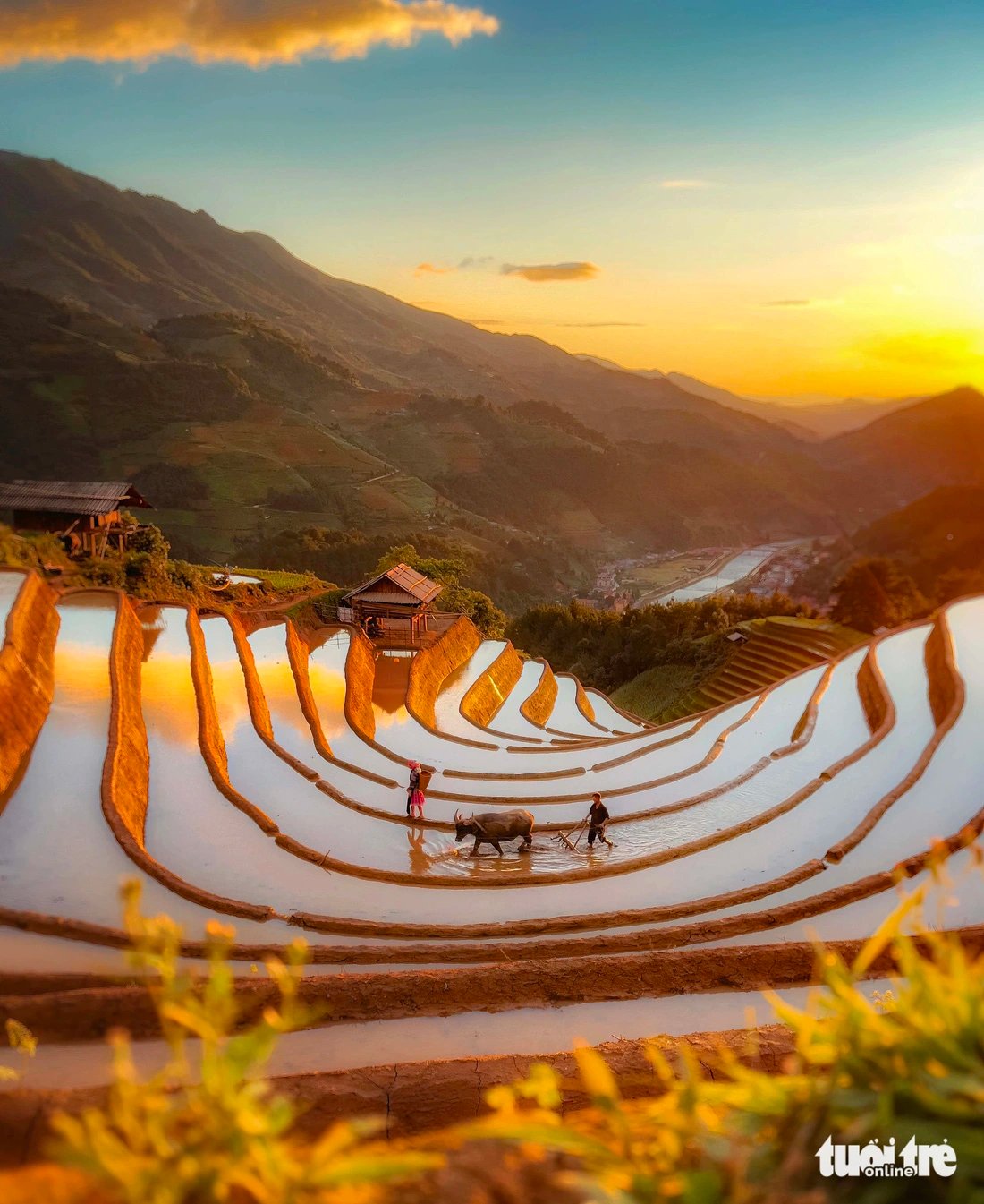 Mong people in Mu Cang Chai District in the northern province of Yen Bai are plowing on a terraced field. Photo: Kenvin Nguyen