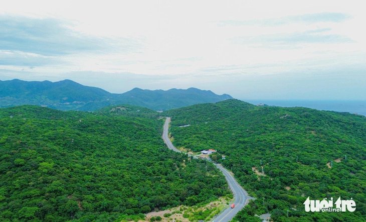 The road leading to Nui Chua National Park,  Ninh Thuan Province, south-central Vietnam. Photo: Duy Ngoc / Tuoi Tre