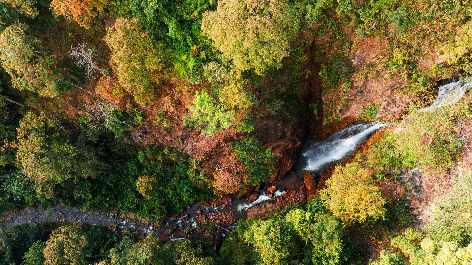 Streams wind their ways between cliffs, creating breathtaking waterfalls in Mang Den forests. Photo: Ha Nguyen / Tuoi Tre