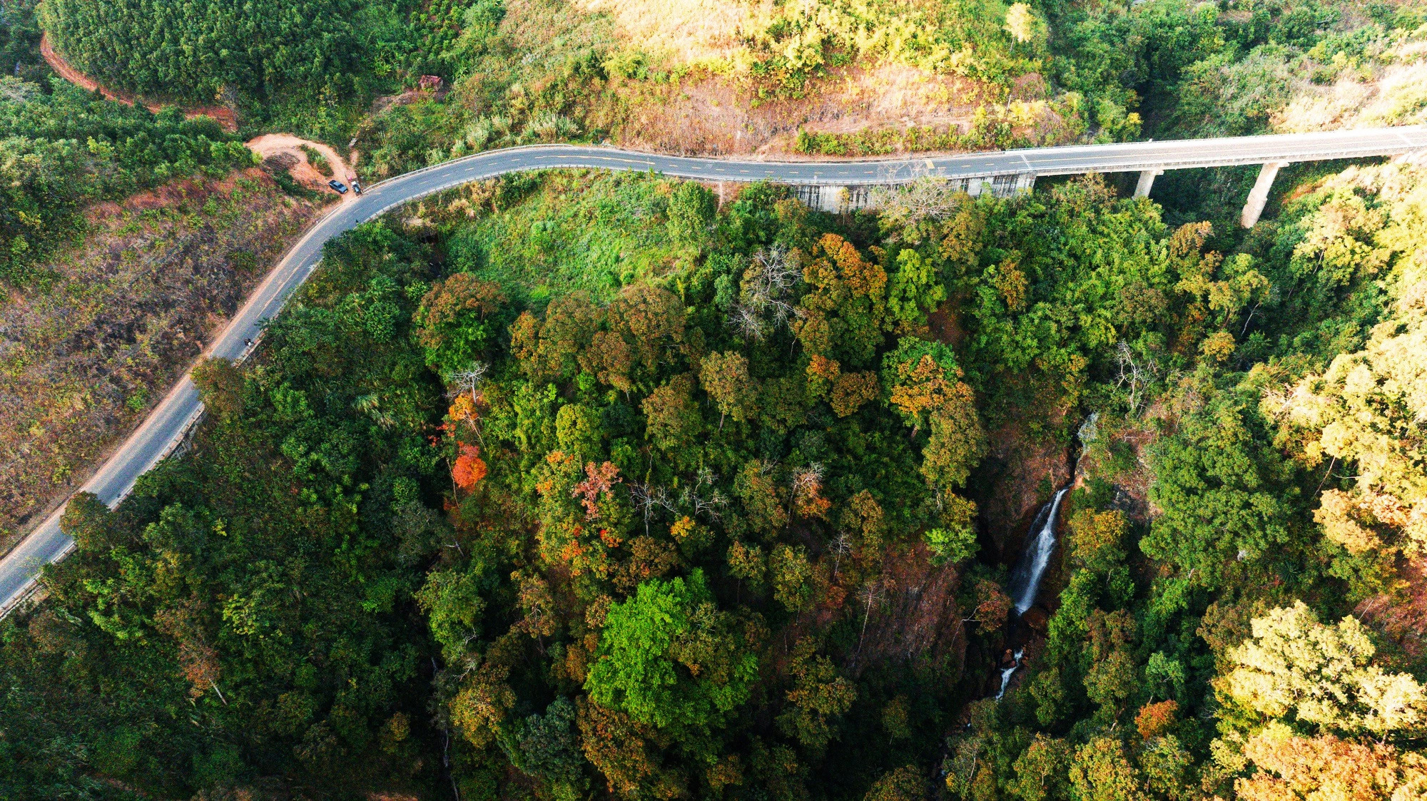 A forest is traversed by a newly-built bypass linking Kon Ray District with Kon Plong District’s Mang Den in Kon Tum Province, located in Vietnam’s Central Highlands. Photo: Ha Nguyen / Tuoi Tre