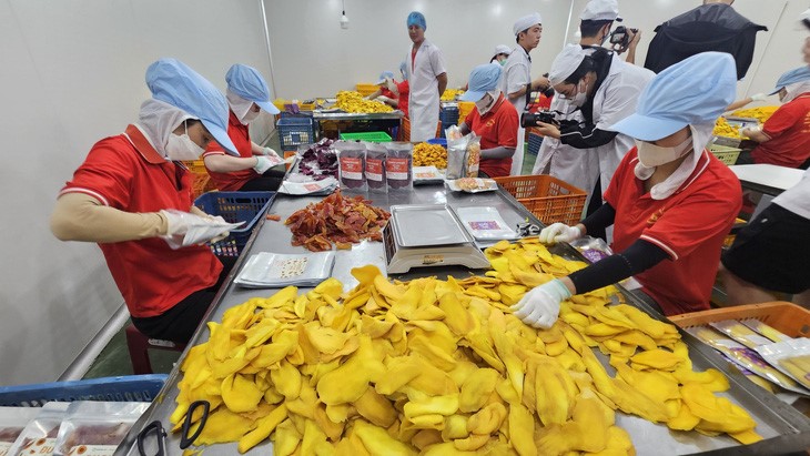 TikTokers will support the sale of dried fruits and other specialties in southern Vietnam. Photo: N.Tri / Tuoi Tre