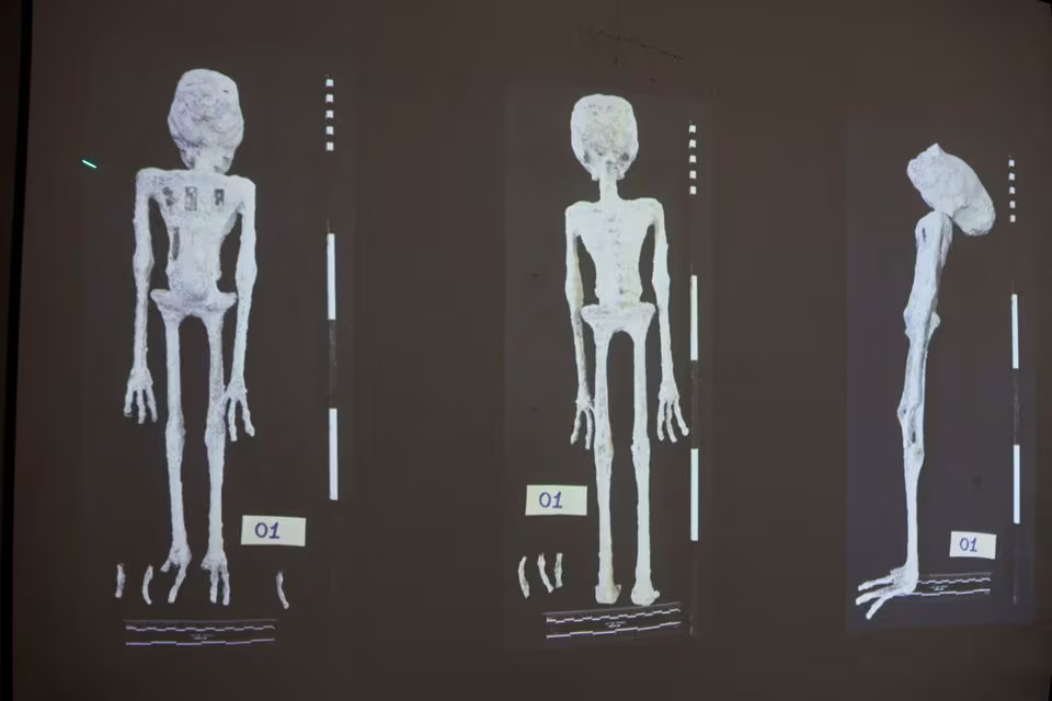 Scientists assert 'alien mummies' in Peru are really dolls made from Earthly bones