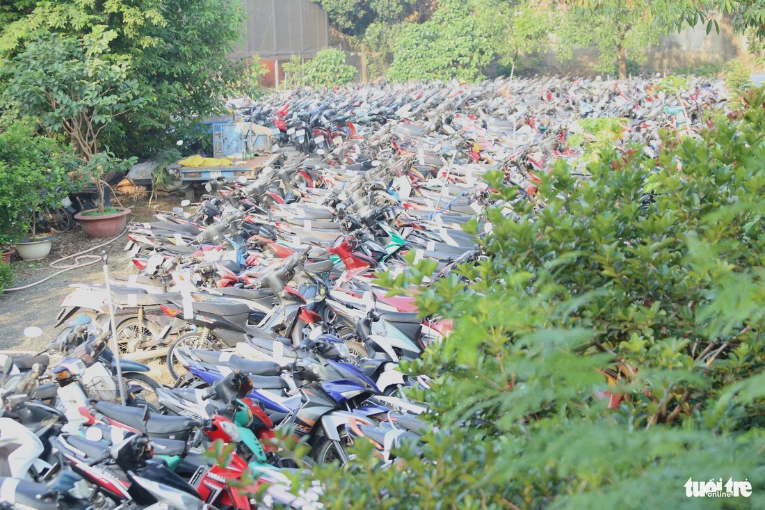 Thousands of impounded vehicles at the impoundment area of the Thu Duc City Police. Photo: Minh Hoa / Tuoi Tre