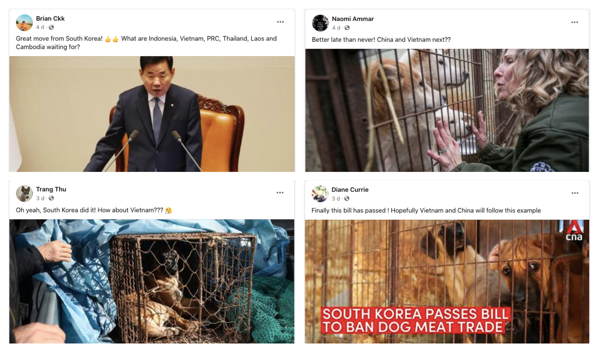 A collage of screenshots featuring Facebook posts calling for action from Vietnam against dog meat consumption.