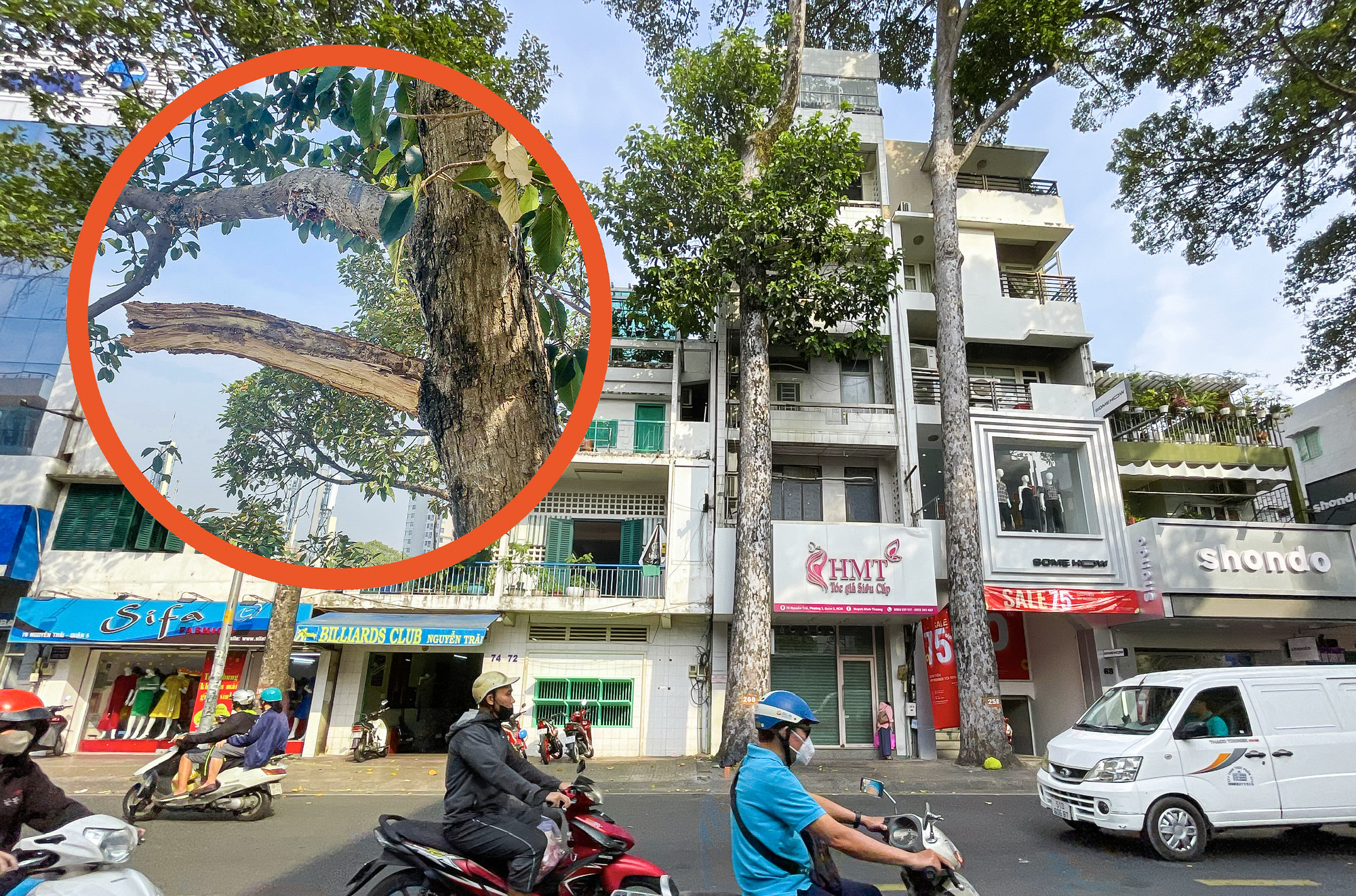 Ho Chi Minh City greenery company confirms proper maintenance after fallen branch killed resident
