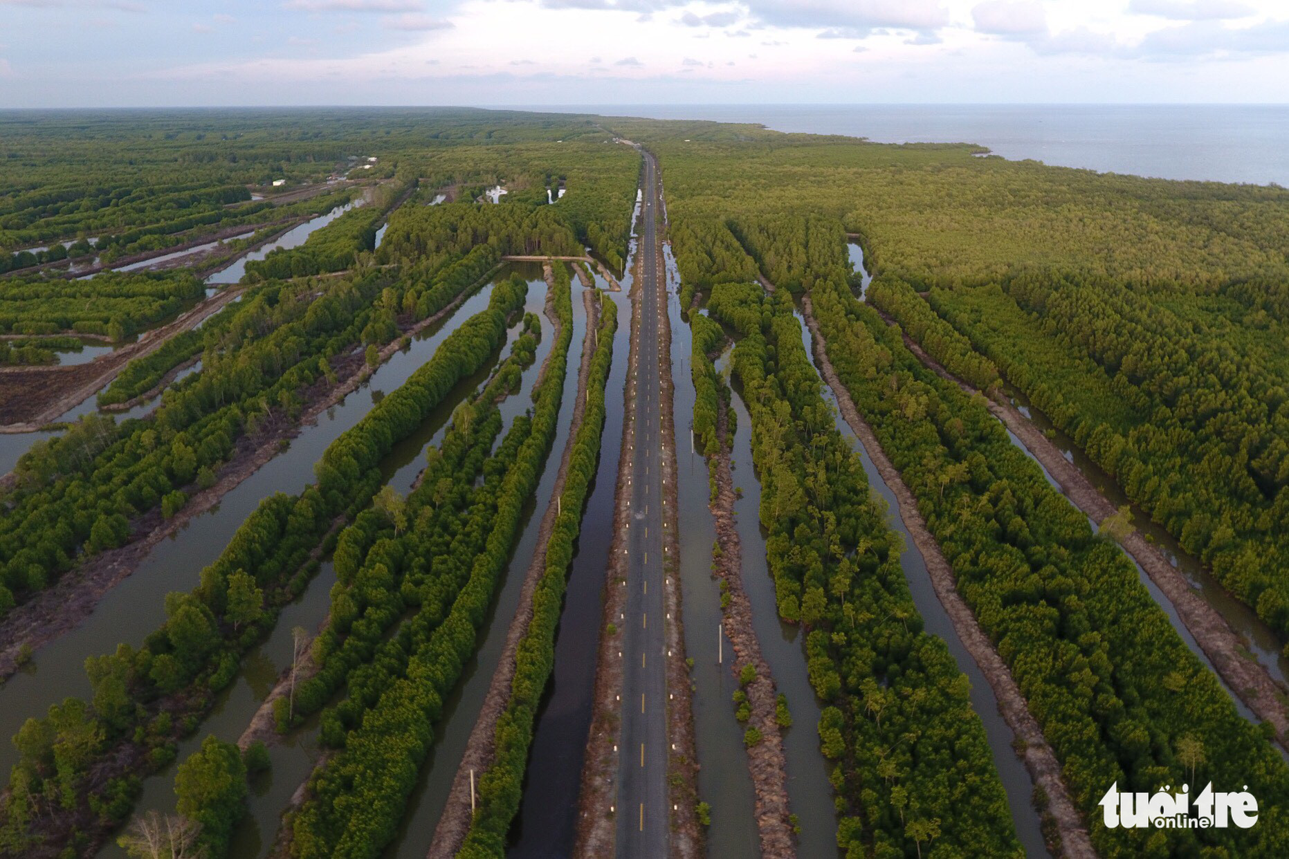 The Ho Chi Minh Road traverses the Ca Mau mangrove forest to Ca Mau Cape in Ca Mau Province, southern Vietnam. Photo: Huu Khoa / Tuoi Tre
