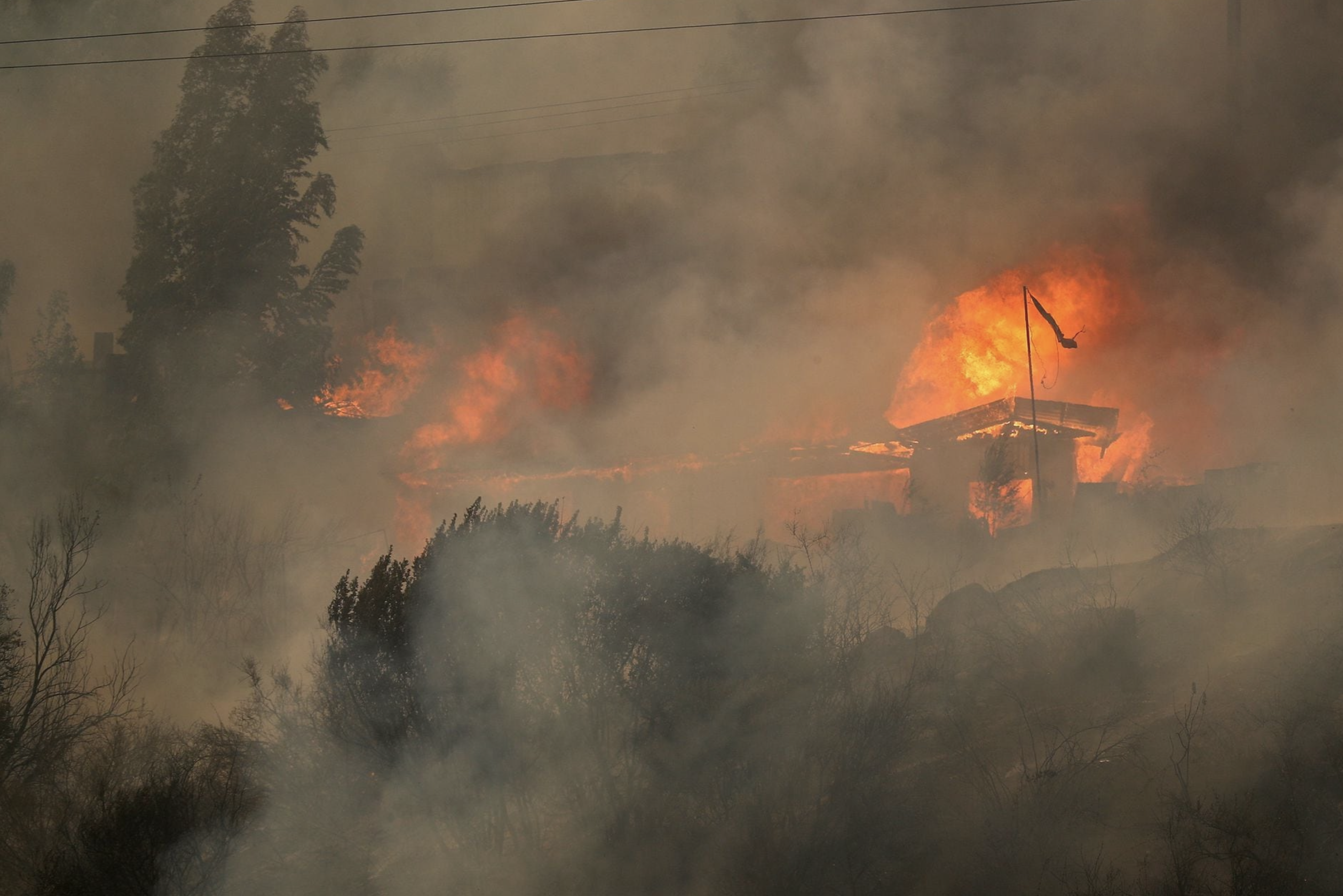 Forest fires kill 51 in Chile, menace urban areas