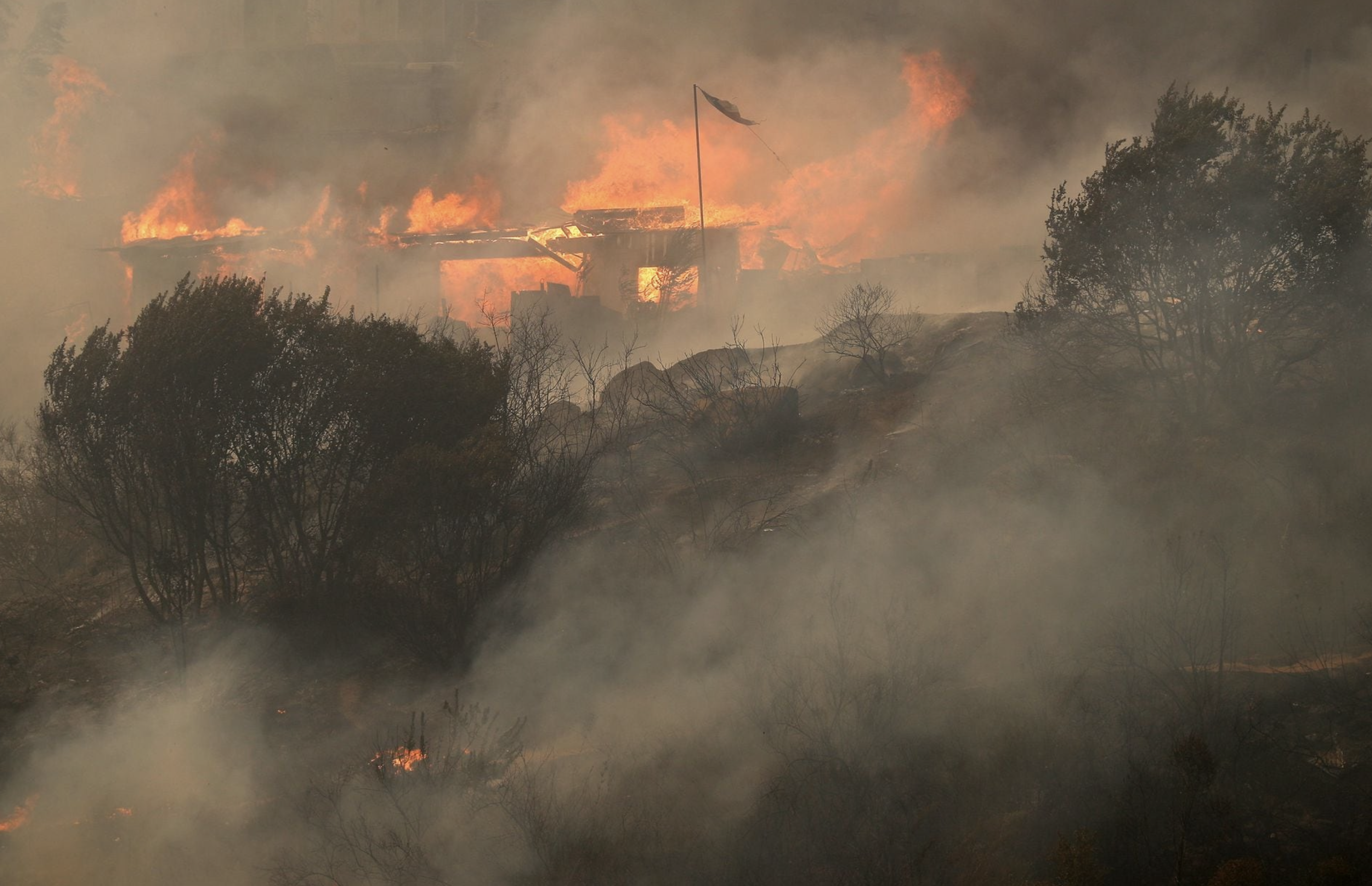 Houses burn amid the spread of wildfires in Vina del Mar, Chile February 3, 2024. Photo: Reuters