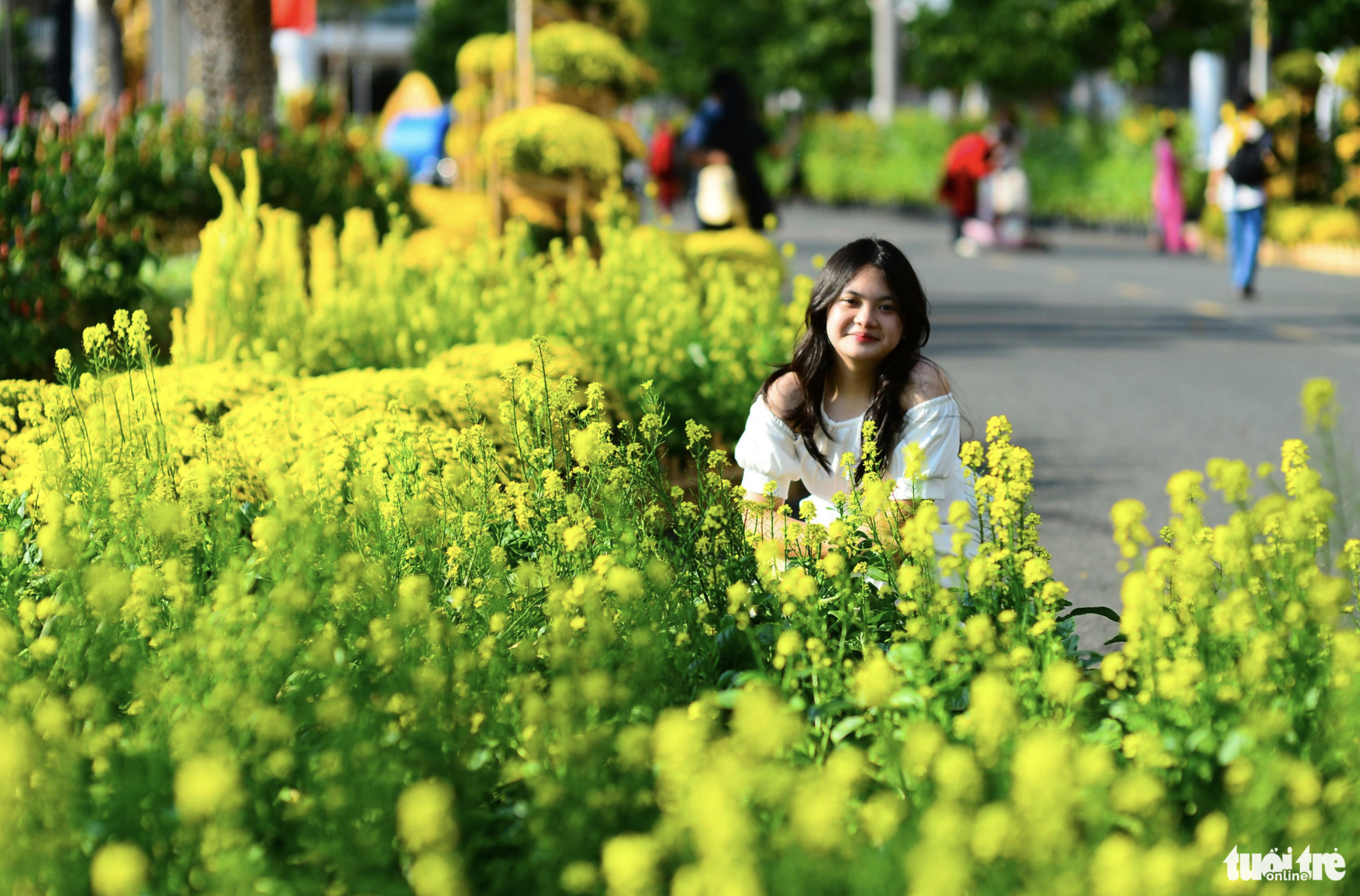 Phu My Hung Flower Street in District 7, Ho Chi Minh City is adorned with yellow flowers. Photo: Quang Dinh / Tuoi Tre