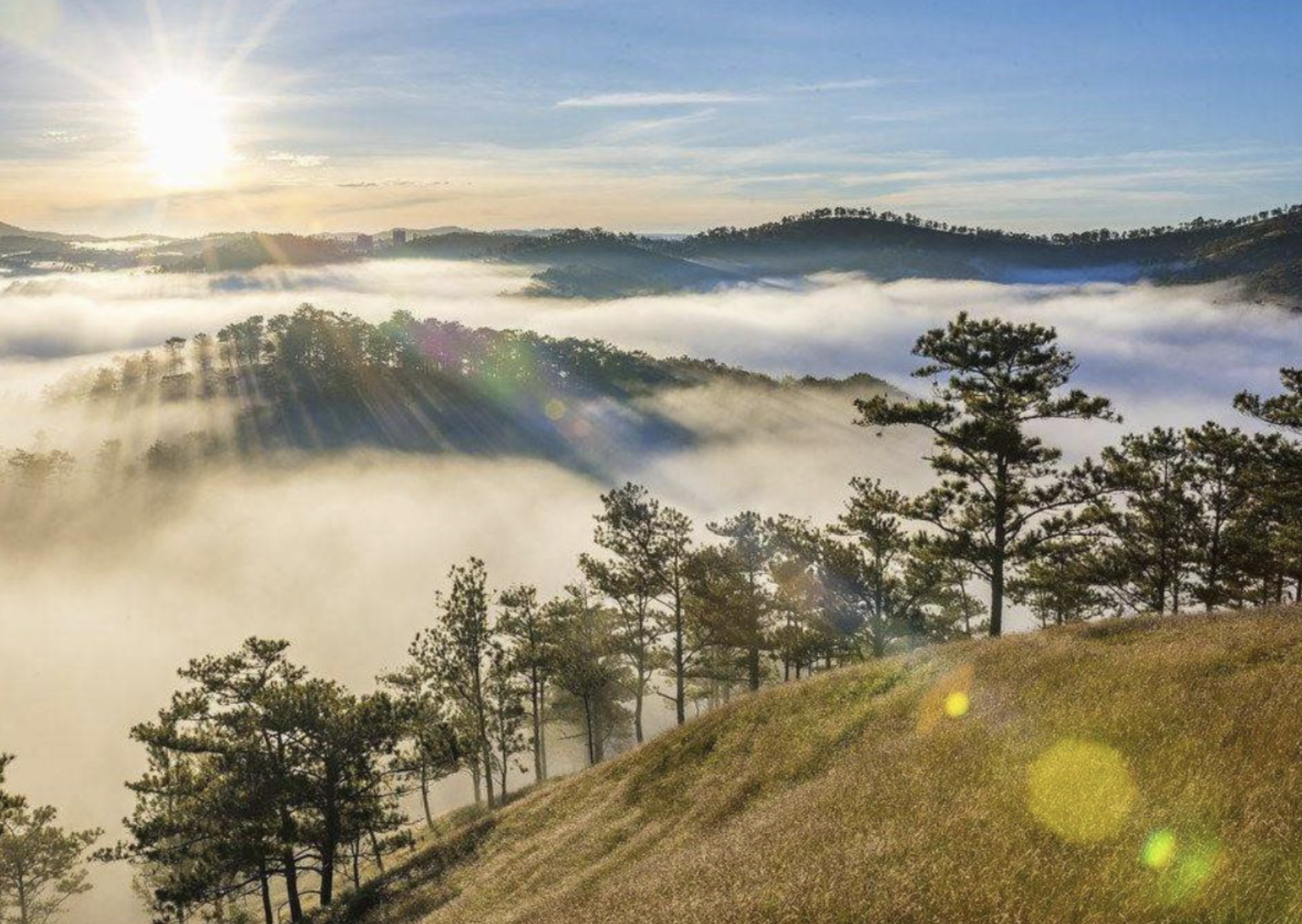 Da Lat City is one of the most sought-after destinations for tourists during the Lunar New Year holiday, Tet. Photo: Tuoi Tre