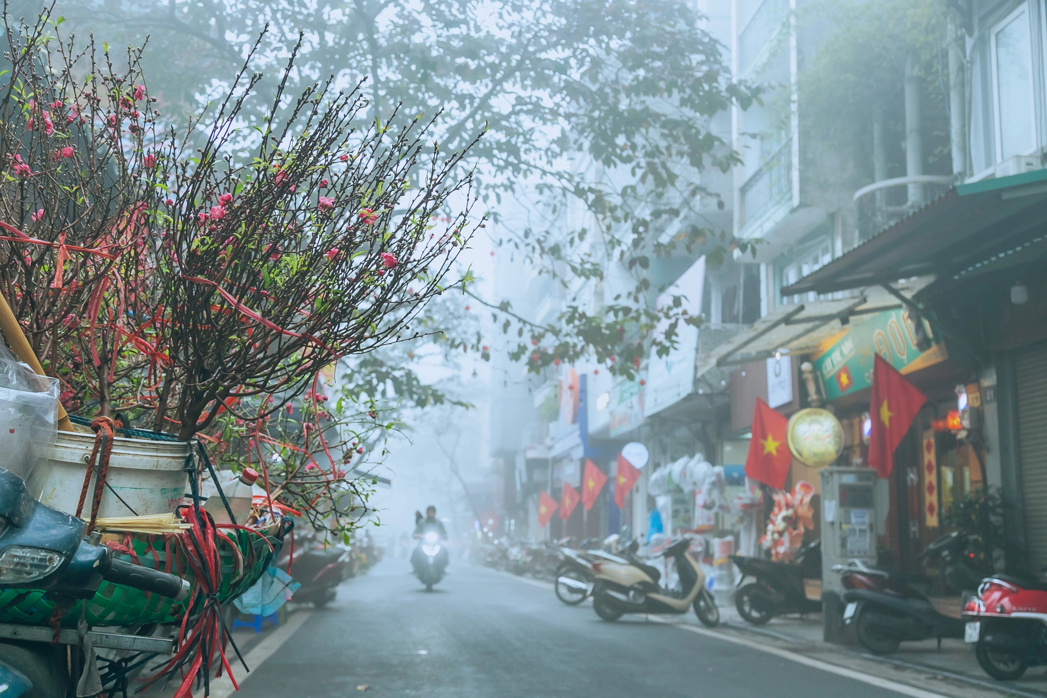 Tet atmosphere in Hanoi captured by Lee Hyo-seung