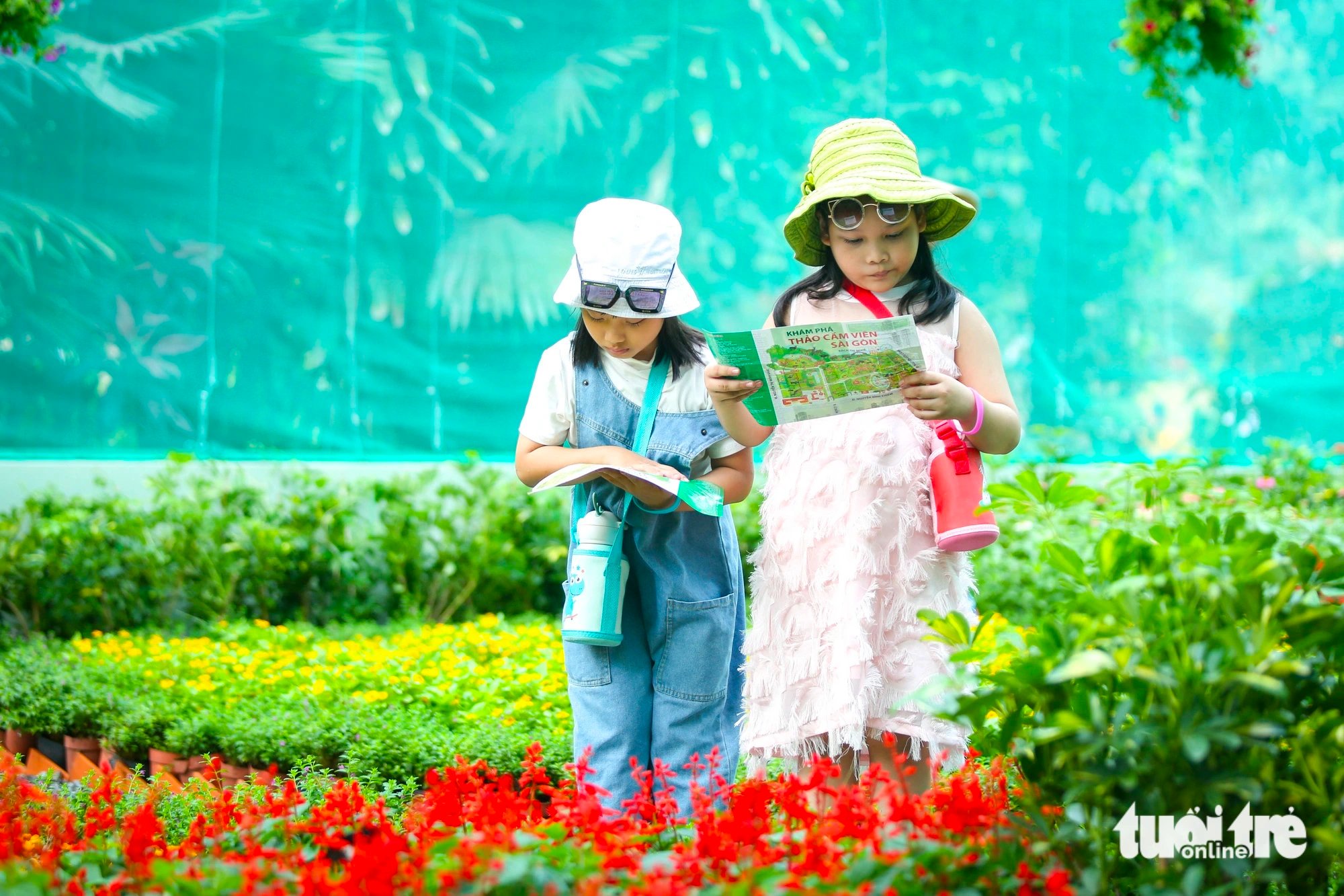 Two young visitors read the introduction sheets at the butterfly garden in the Saigon Zoo and Botanical Gardens, District 1, Ho Chi Minh City on February 6, 2024. Photo: Phuong Quyen / Tuoi Tre