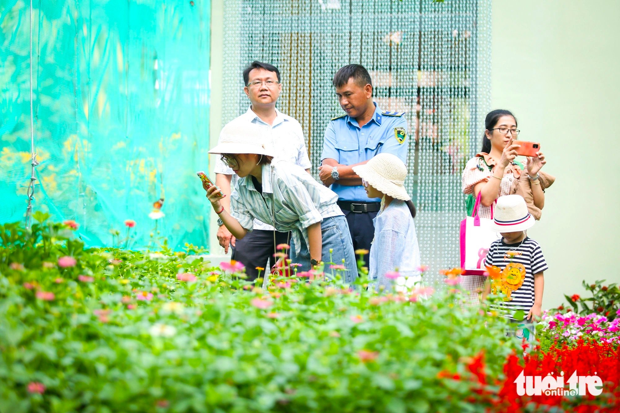 A visitor photographs a butterfly while visiting the butterfly garden at the Saigon Zoo and Botanical Gardens, District 1, Ho Chi Minh City on February 6, 2024. Photo: Phuong Quyen / Tuoi Tre