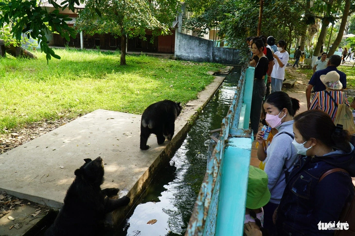A bear-raising area at Dong Tam Snake Farm in Tien Giang Province, located in Vietnam’s Mekong Delta region, which attracted numerous visitors during the 2024 Tet (Lunar New Year) holiday.