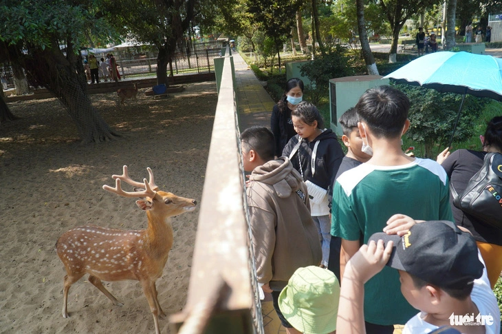 Visitors watch a sika deer at Dong Tam Snake Farm in Tien Giang Province, situated in Vietnam’s Mekong Delta region, during the 2024 Tet (Lunar New Year) holiday.