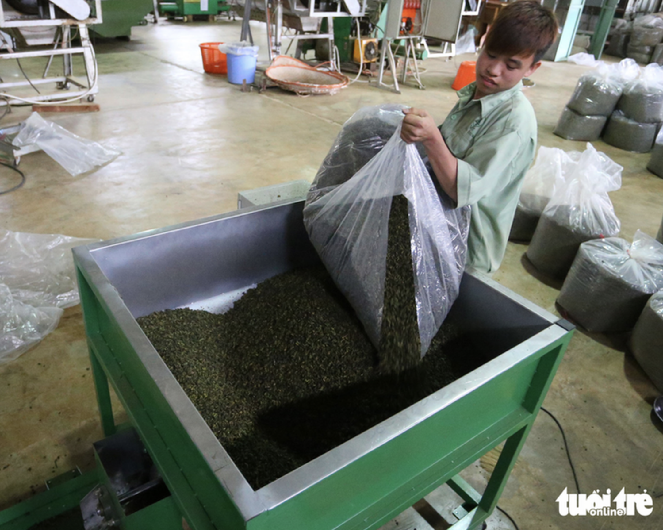 Vietnam’s tea exports rise 85% in January